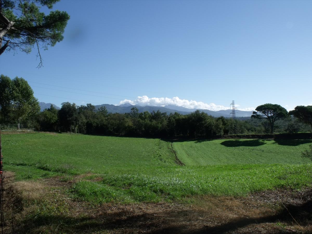 B&B Podere Montese Villafranca in Lunigiana Exterior foto